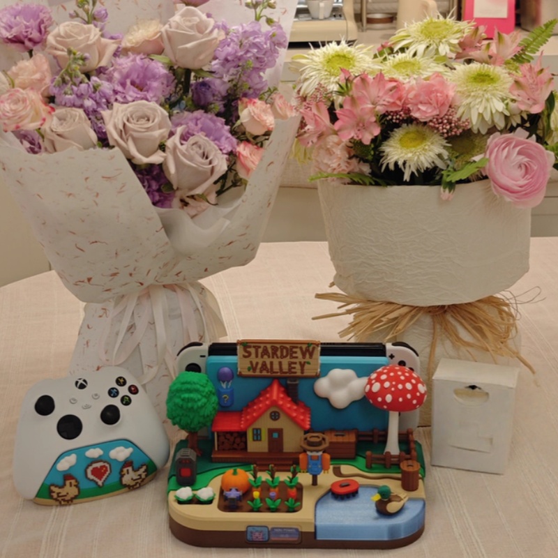 Switch Dock Stardew Valley Far - огляд і ціна Gaming Console Setup